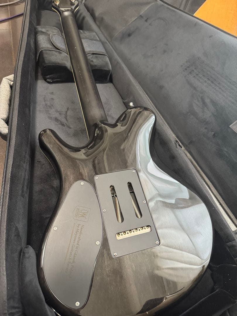 ギター Mayones Legend V22