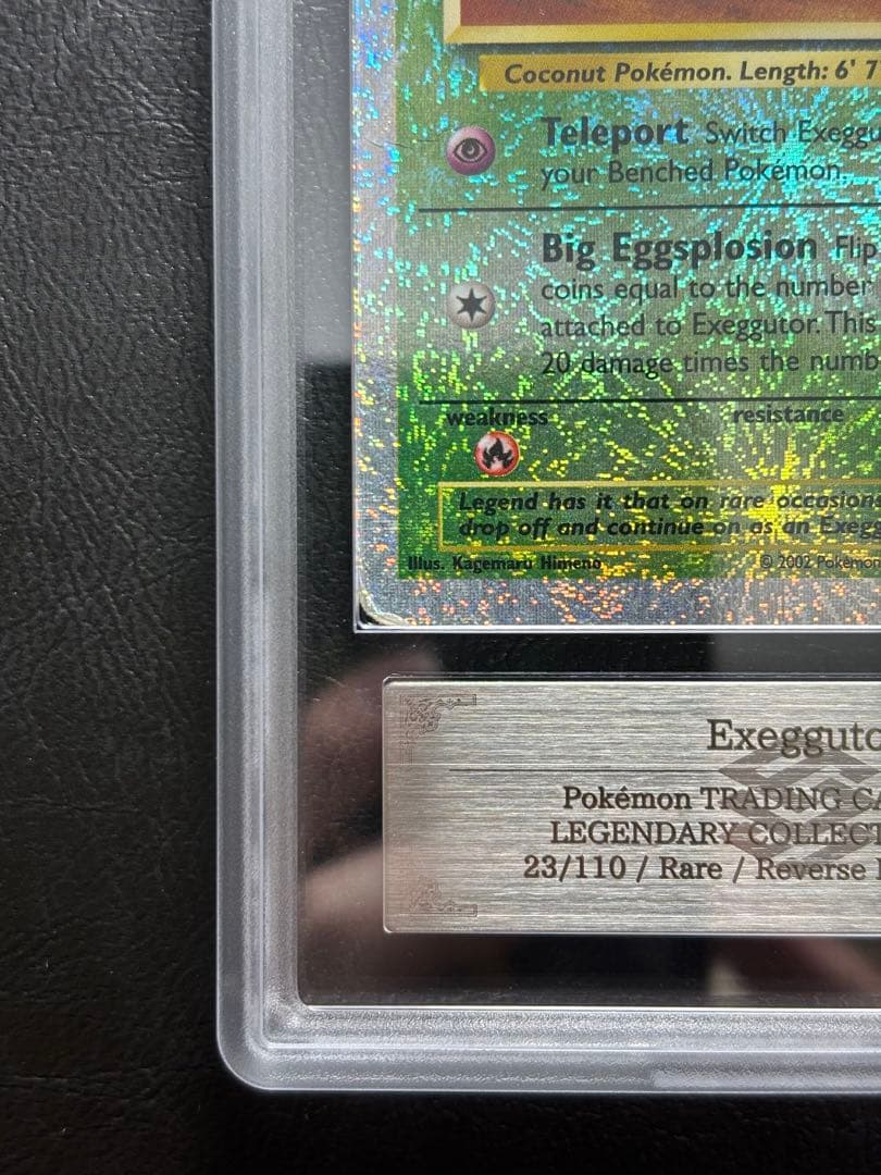 【ARS AU 真贋鑑定】ナッシー 英語 リバホロ 23/110