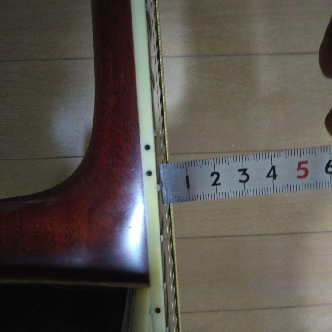 Morris モーリス　TF-100 アコースティックギター