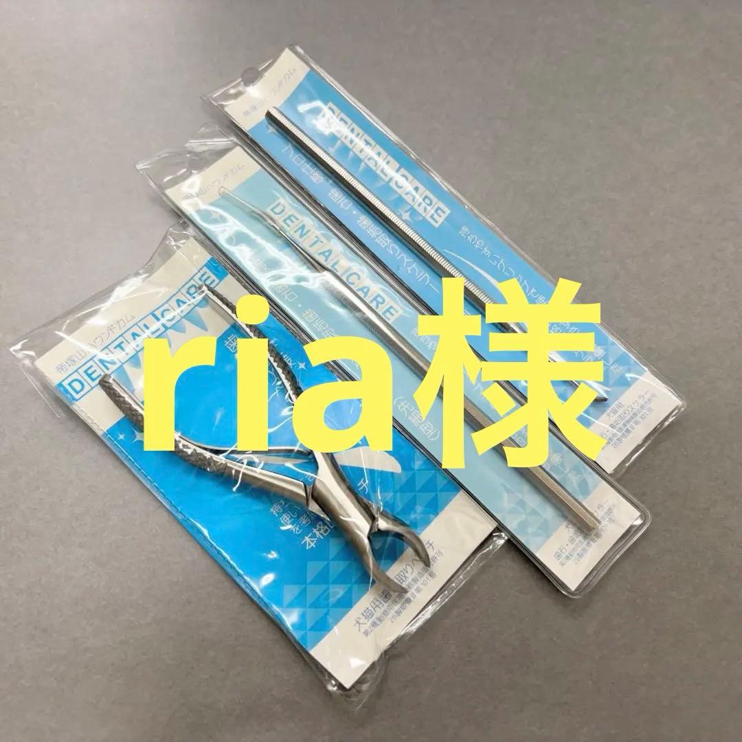 帝塚山ハウンドカム 歯石取りペンチ 歯石取りスケーラー 3点セット