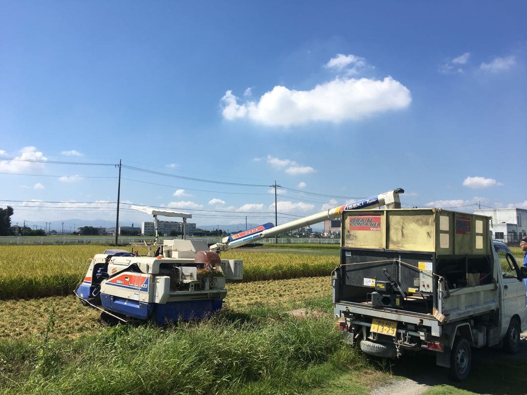 送料込み！令和7年9月新米ひとめぼれ　埼玉県熊谷産　専業農家　白米10キロ　中米