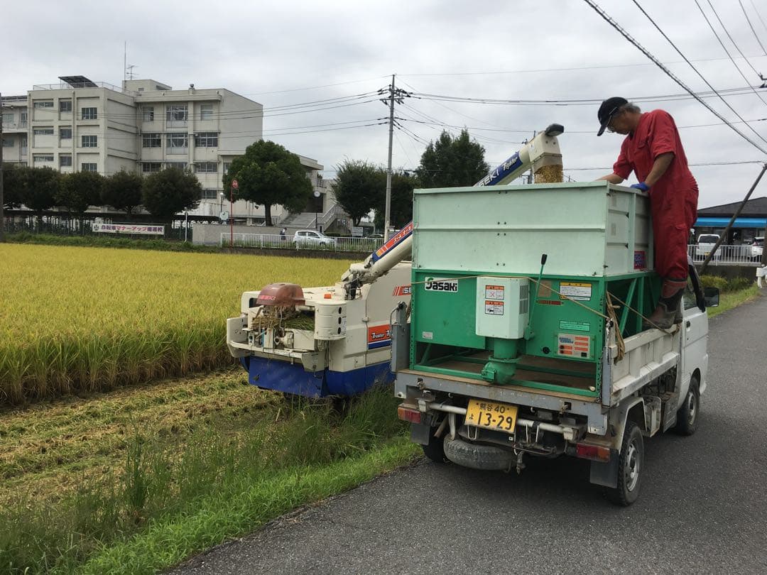 送料込み！令和7年9月新米ひとめぼれ　埼玉県熊谷産　専業農家　白米10キロ　中米