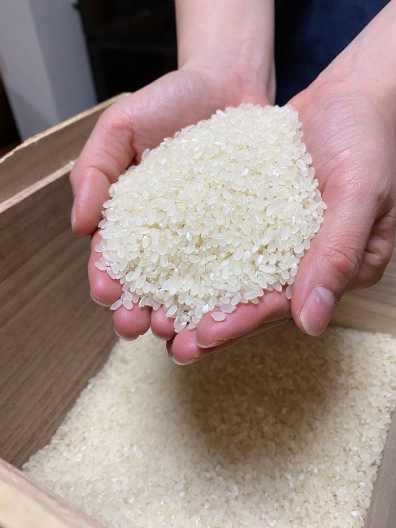 送料込み！令和7年9月新米ひとめぼれ　埼玉県熊谷産　専業農家　白米10キロ　中米