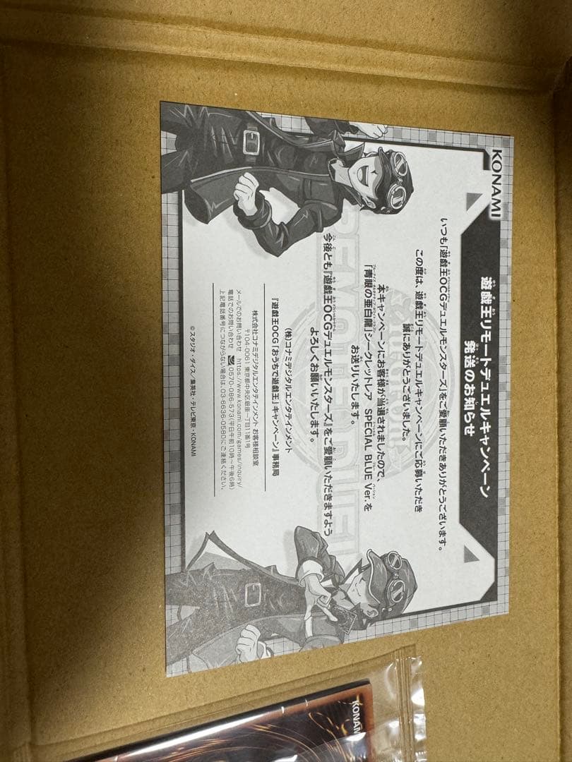 遊戯王 OCG 青眼の亜白龍 シークレット  SPECIAL BLUE Ver.