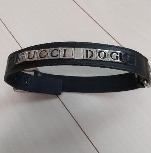 ちゅら　GUCCI 犬 首輪