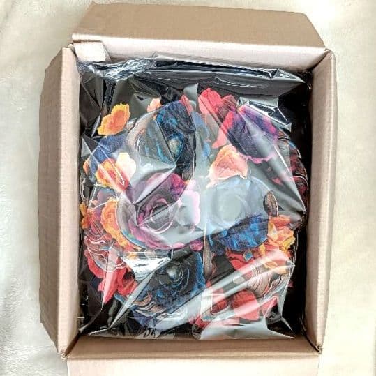 龍宮城　裏島　フーディー　Foodie　サイズ：２