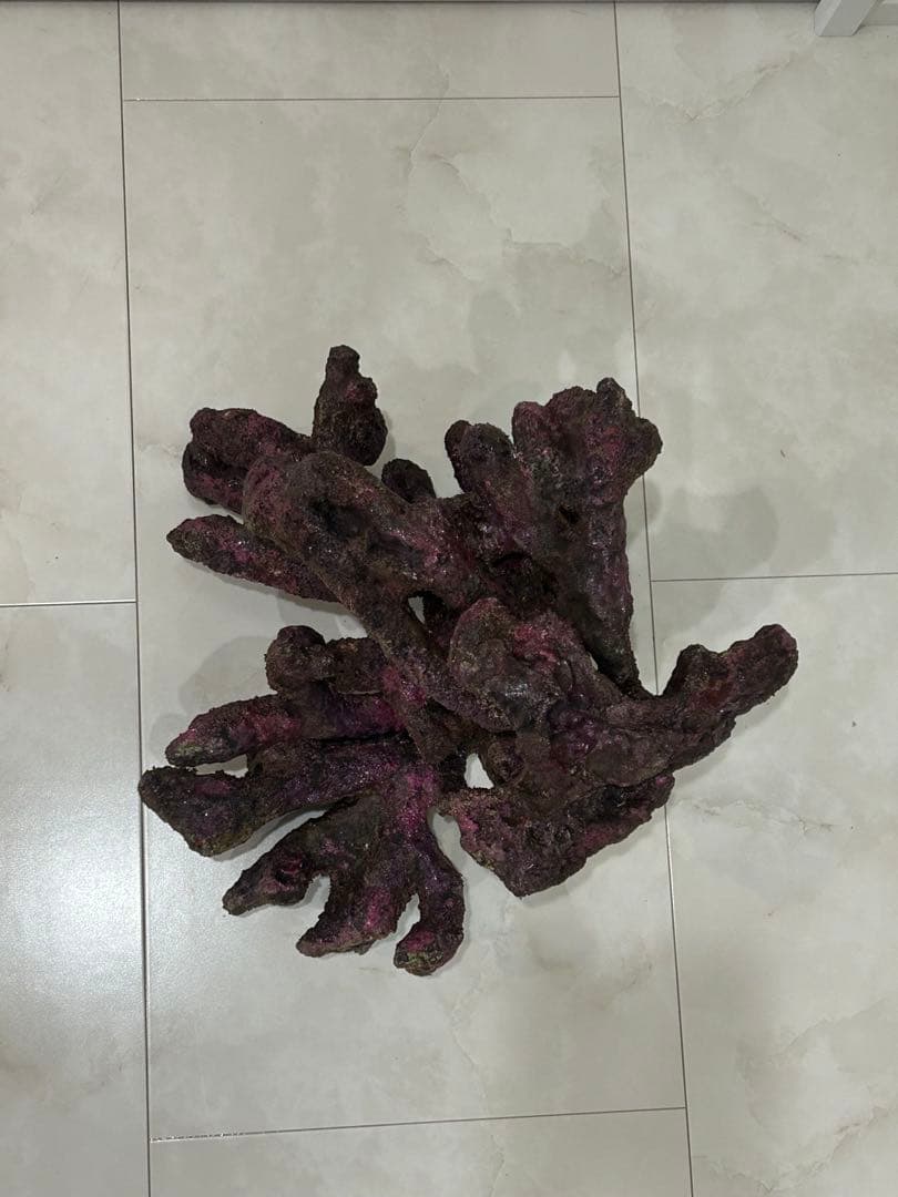 ORCA OCEAN ROCK 3個セット 人工ライブロック 海水魚