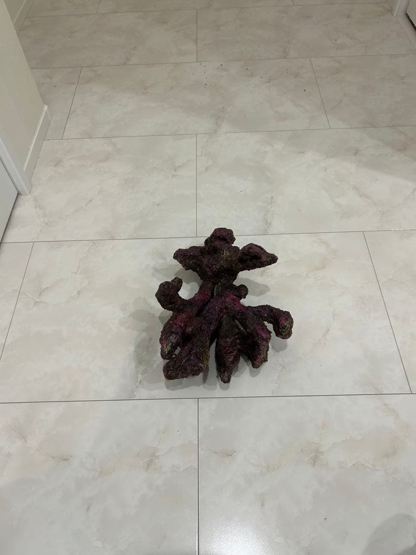 ORCA OCEAN ROCK 3個セット 人工ライブロック 海水魚