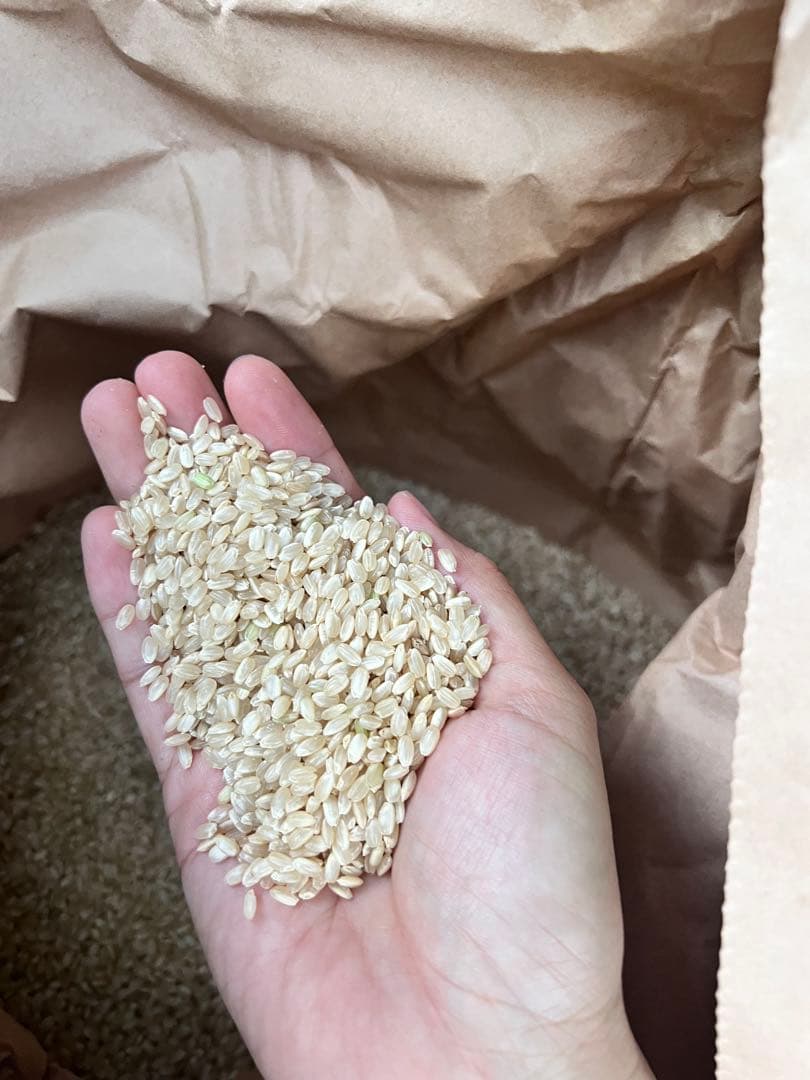 R7新米　キヌヒカリ　30キロ　精米無料　送料込み