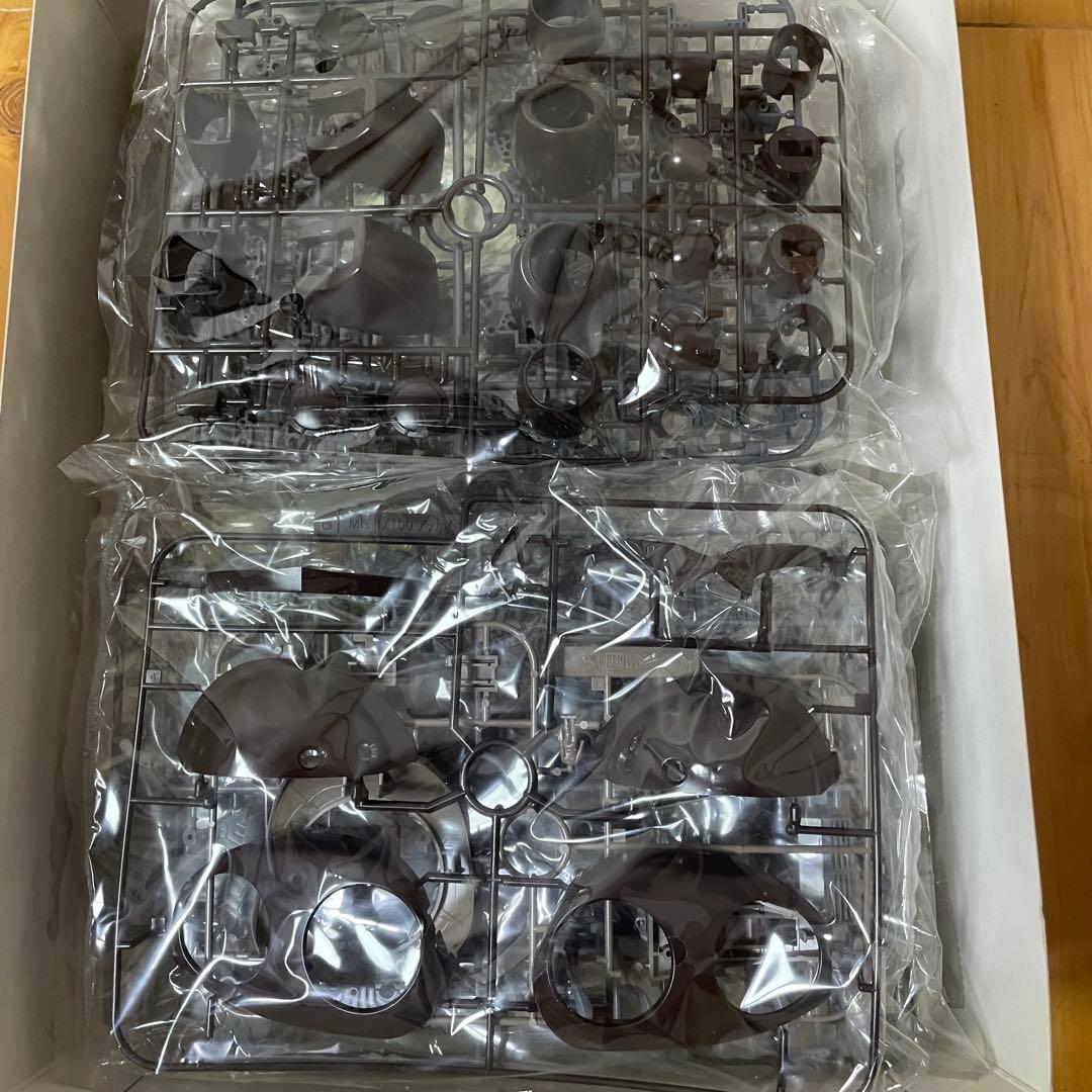 MG 1/100 アッガイ 未組立 特典付 ガンプラ