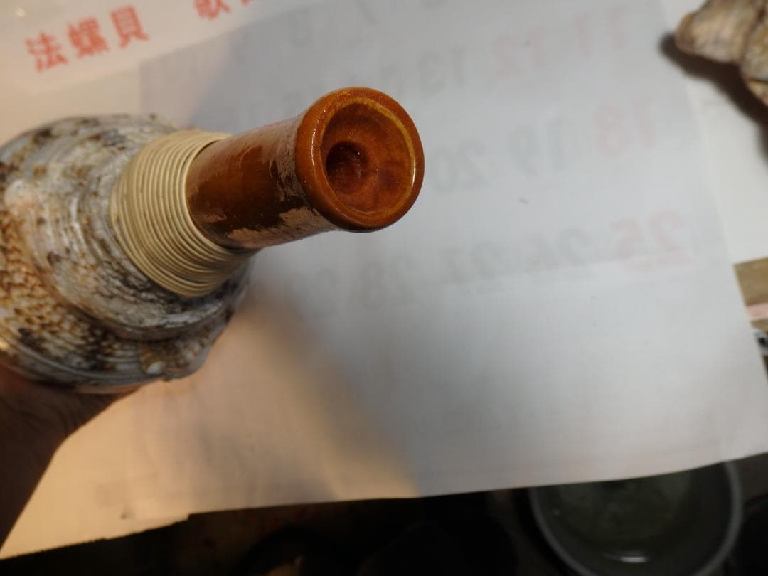 法螺貝 約39㎝ 木製歌口,新品 MH-478