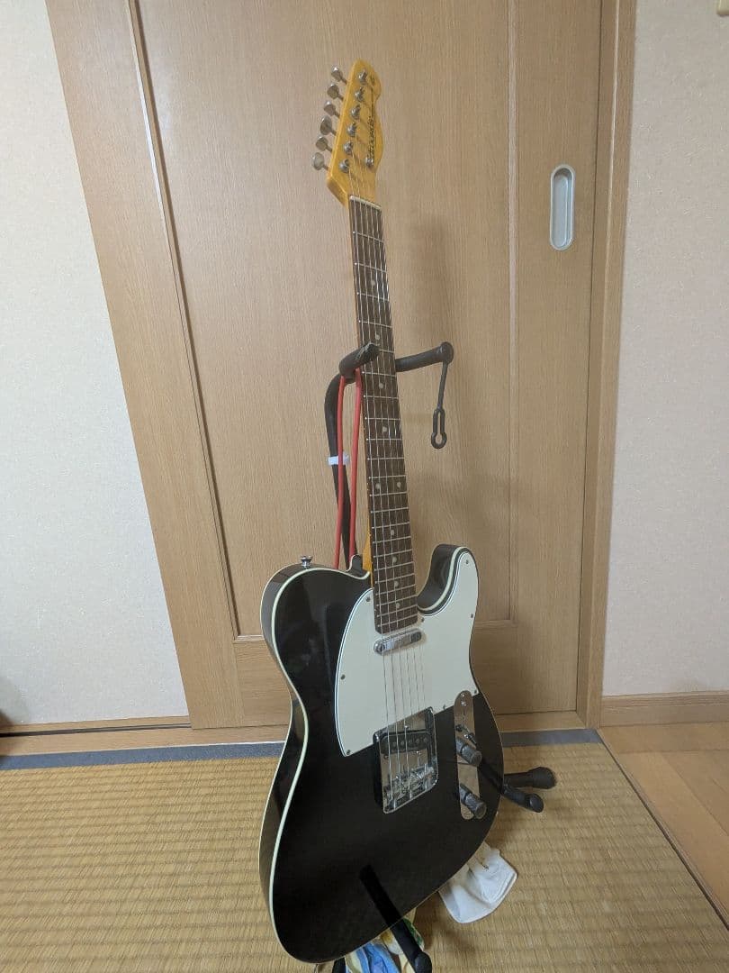 EDWARDS E-TE-100CTM/LT ダンカンPU ラッカー