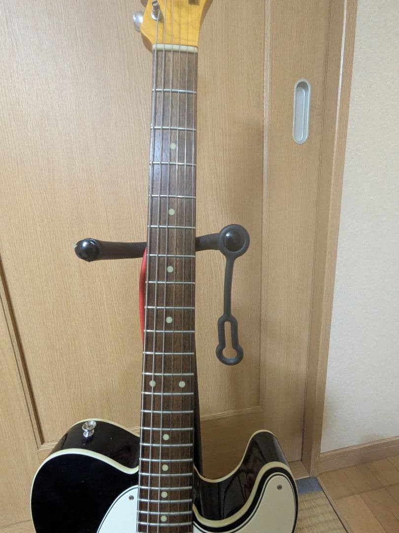 EDWARDS E-TE-100CTM/LT ダンカンPU ラッカー