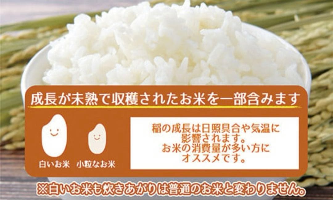 ふくきらり　米 合計 10kg ( 5kg × 2袋 )