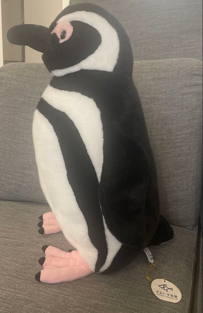 すみだ水族館限定　マゼランペンギン　特大ぬいぐるみ