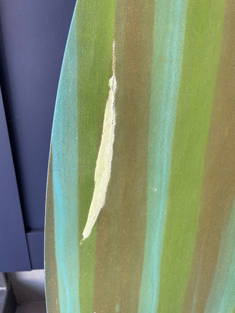 dogfult スキムボード