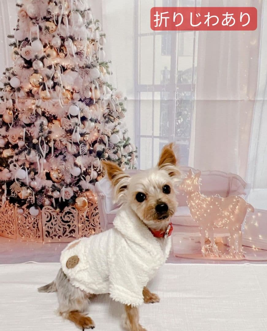 縦長　背景布×8+1　ペット撮影用ブース　トリミングチョーカー販売中　クリスマス