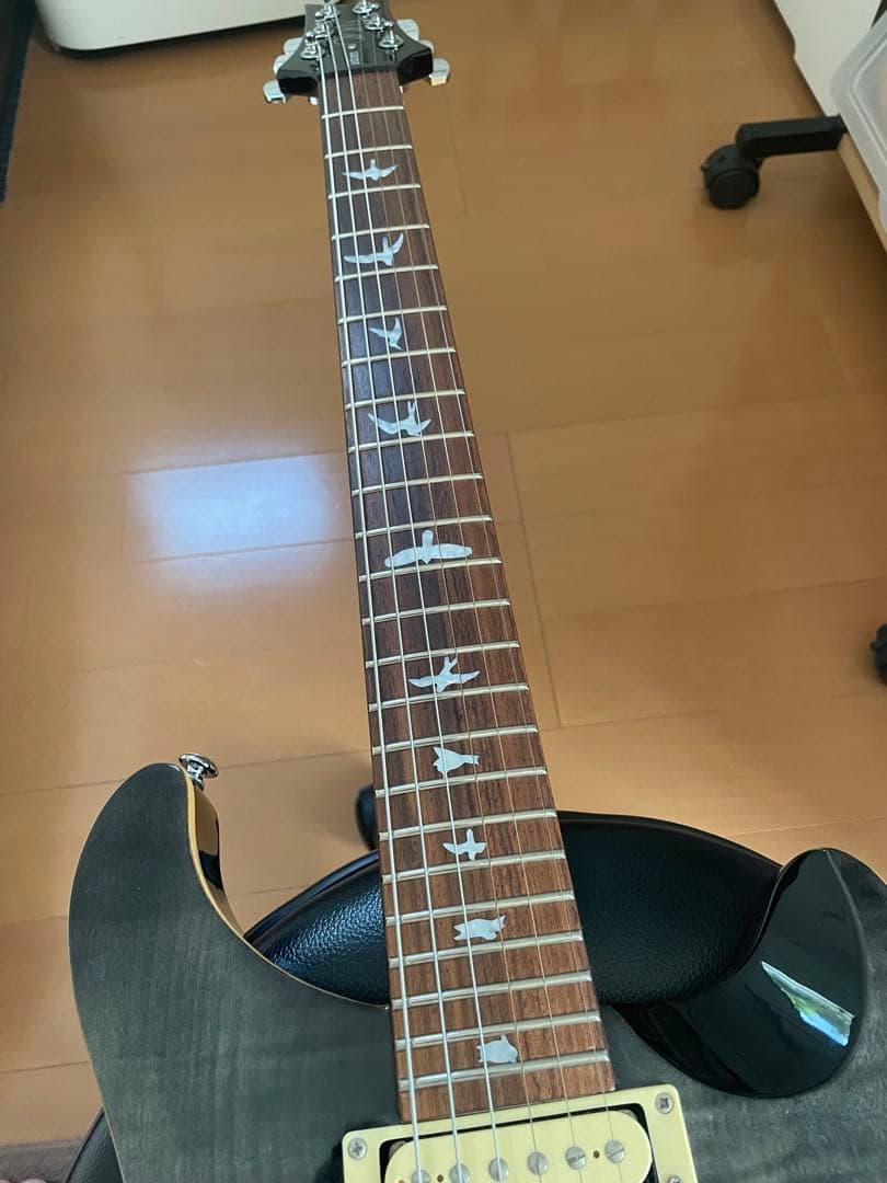 ギター PRS SE CUSTOM 24