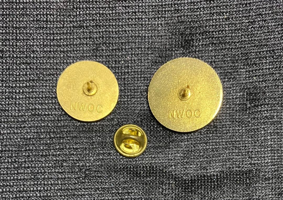 1998長野オリンピック ピンバッジ/希少 招致25mm金