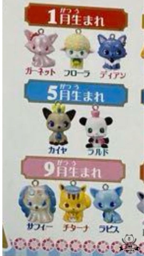 ジュエルペット　ジュエルチャーム　ジュエルボックス