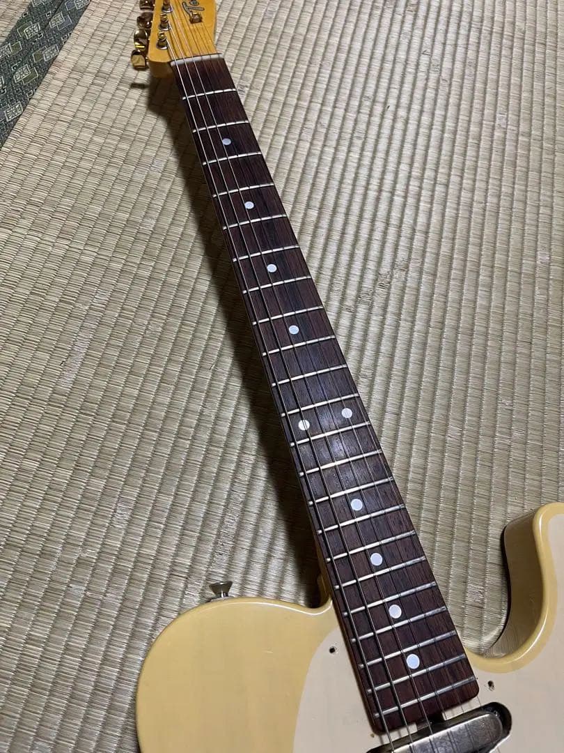 Tokai breezy sound テレキャスター　型番不明