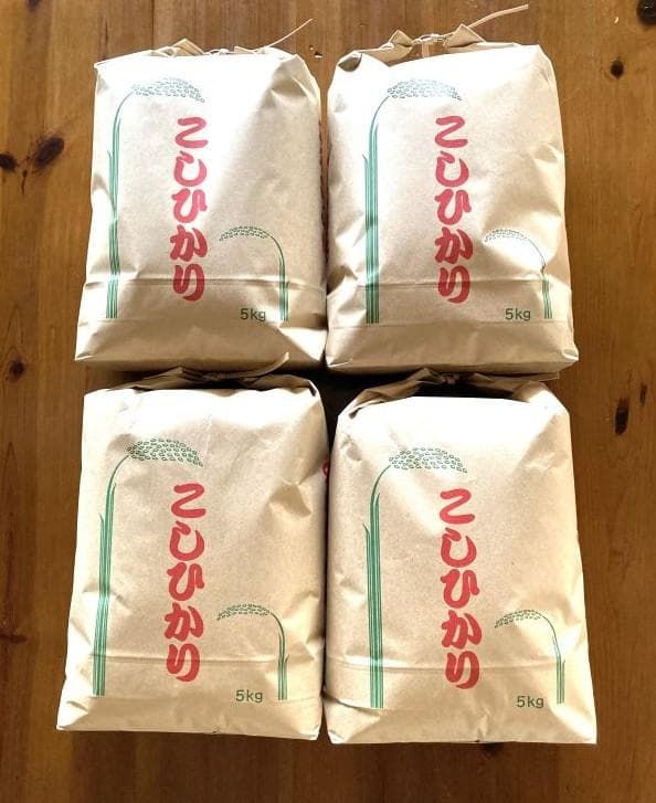 農家保有米 令和7年産 コシヒカリ 20kg(5kg×4) 玄米 20キロ 新米