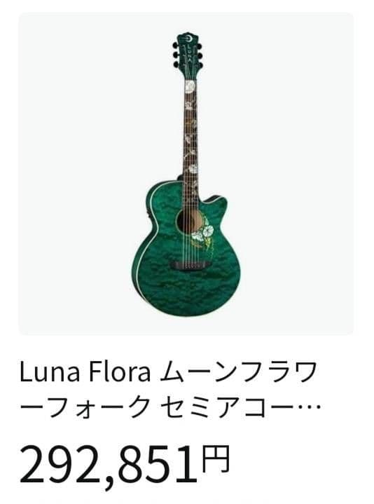 美品希少 LUNAギター エレアコ