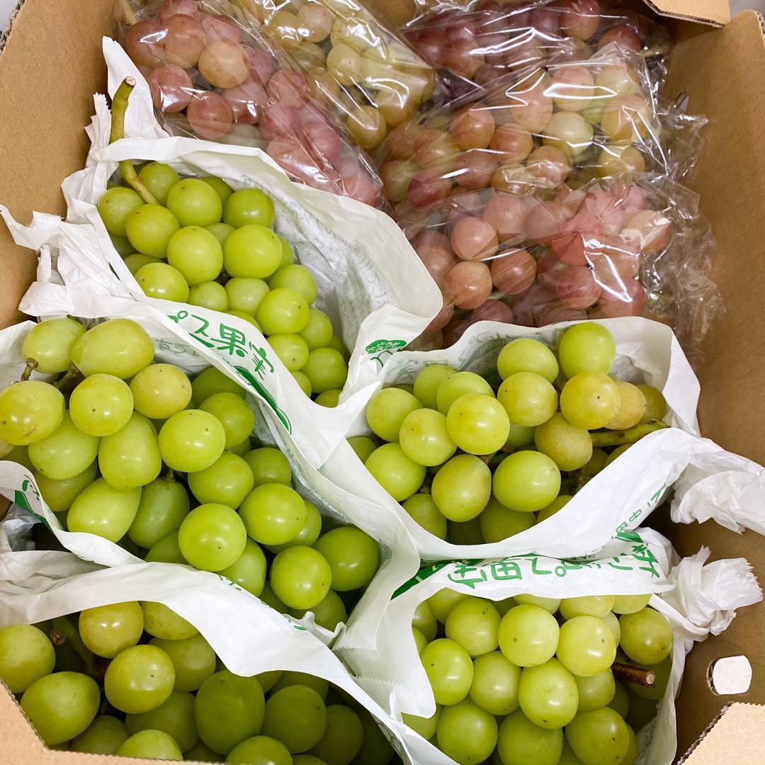 山梨県産　訳あり家庭用　シャインマスカット　コトピー　10房箱込み5.2kg ②