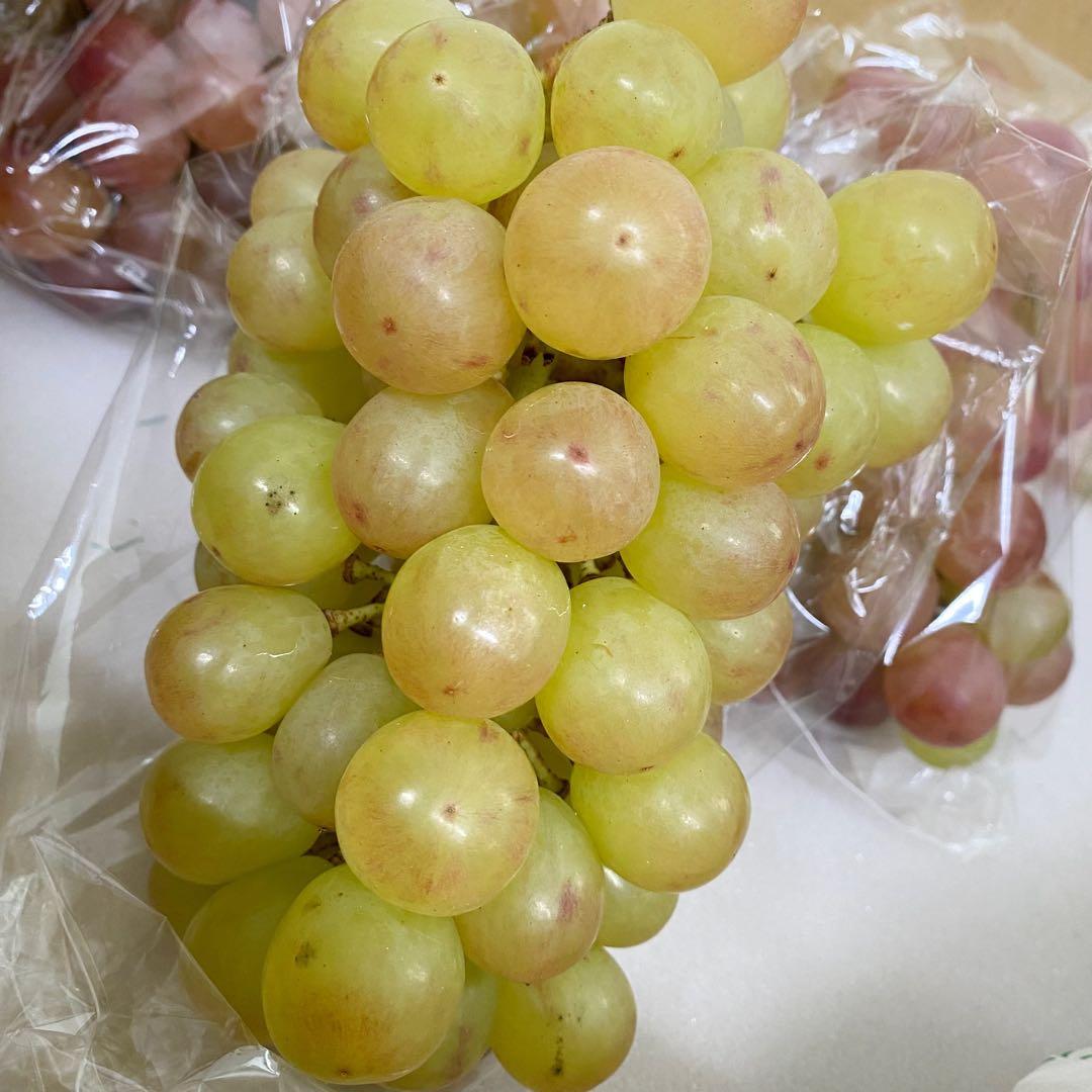 山梨県産　訳あり家庭用　シャインマスカット　コトピー　10房箱込み5.2kg ②