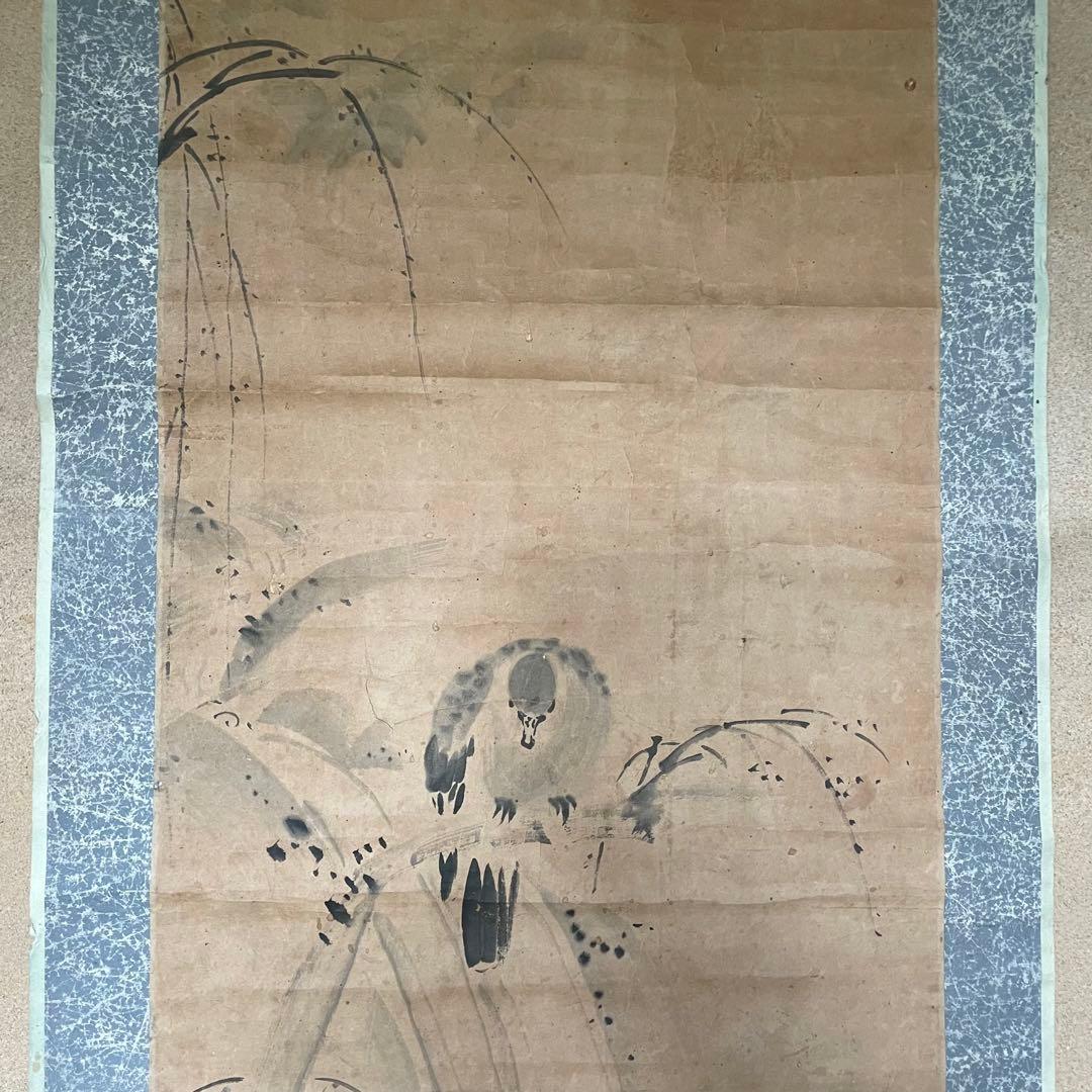 掛軸　掛け軸　狩野常信　水墨画　狩野派　サイン　落款あり　箱なし25.9.21