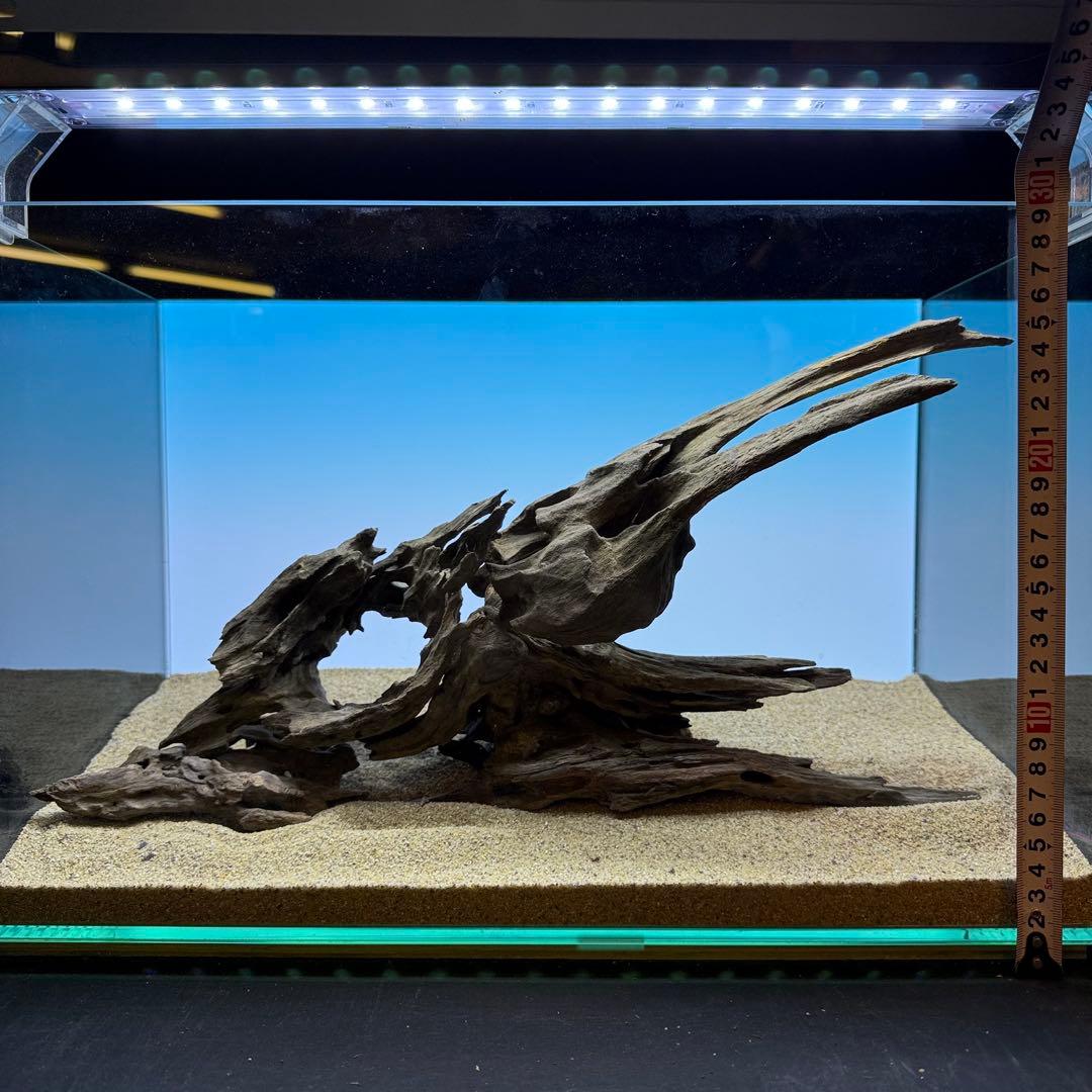 MMW-7255 マシンガンウッドレイアウトセット　45cm水槽用　流木セット