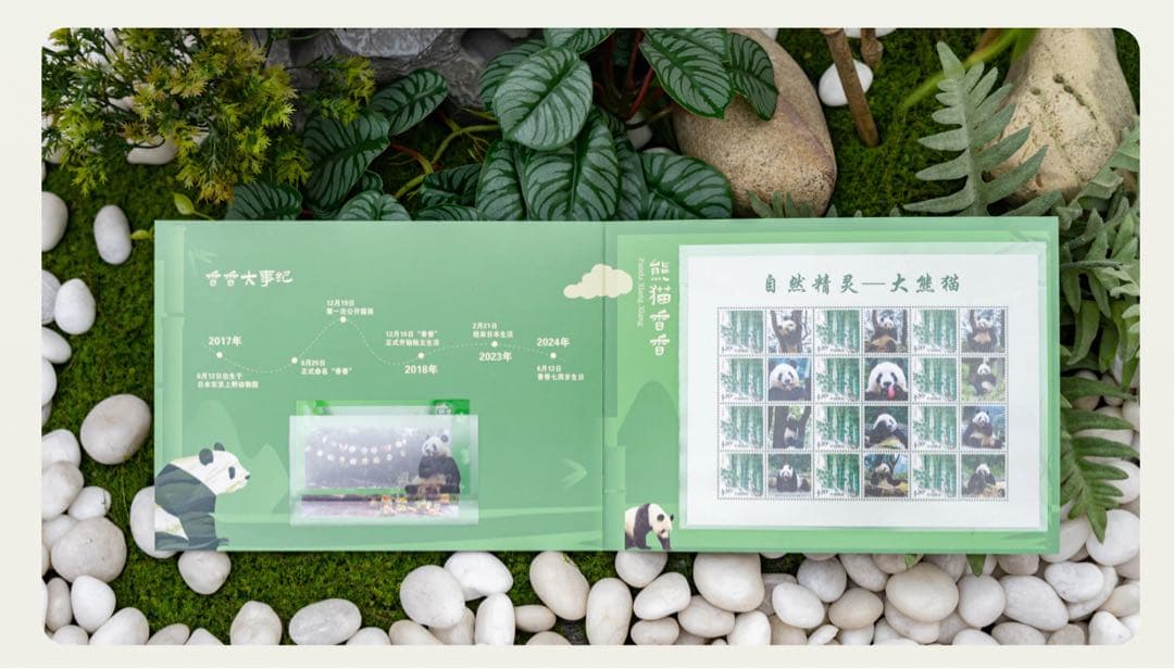 シャンシャン 8歳誕生日記念切手冊（中国切手）クリアカード付き＋香香誕生日生写真