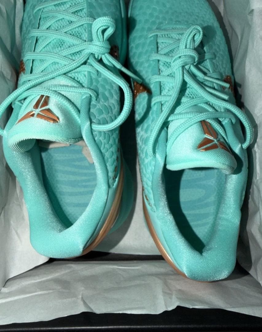 NIKE KOBE 6 PROTRO ナイキ　コービー6 プロトロ