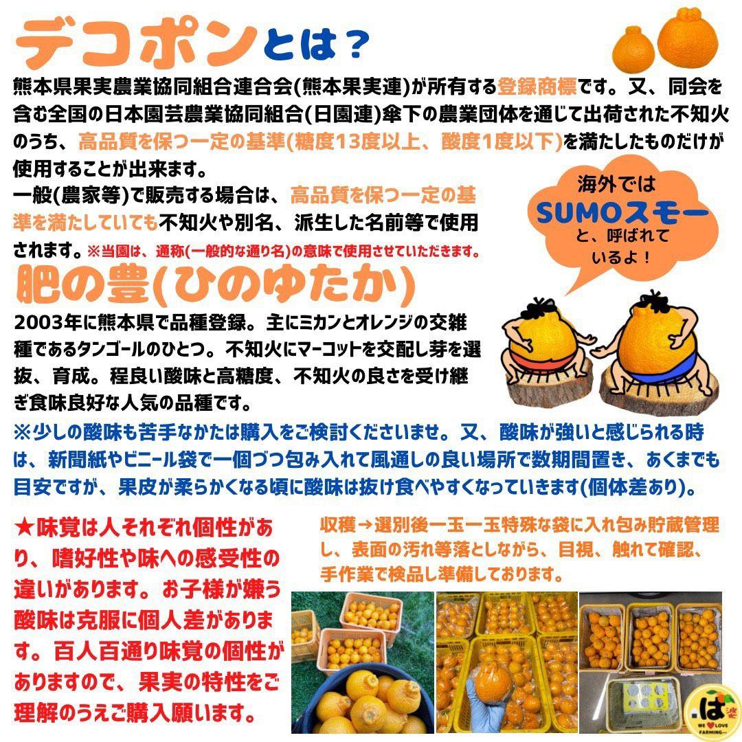 ※確認用　家庭用　大玉MIX箱込み4.5kg以上【露地栽培　不知火　デコポン】