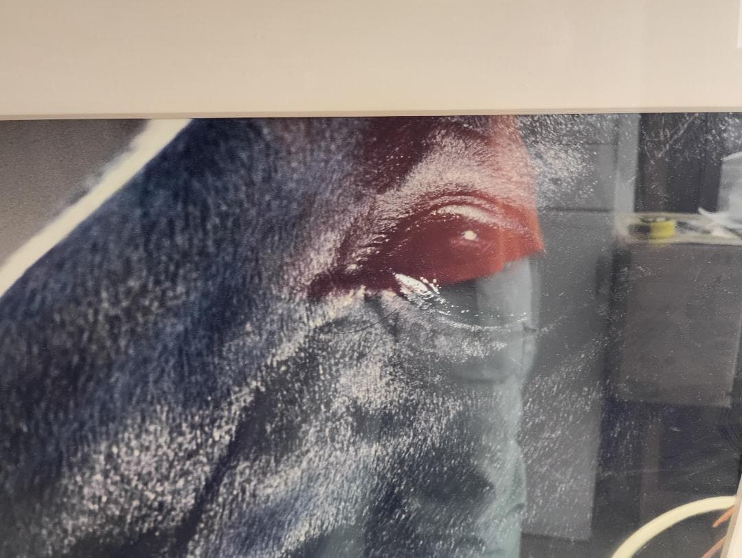 １９８５）サンデーサイレンス (Sunday Silence)写真額　競馬関係