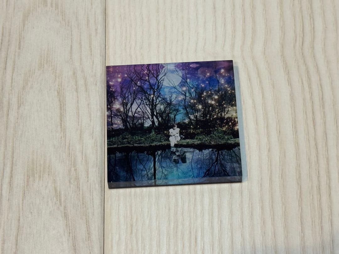 AcidBlackCherry アクリルマグネット