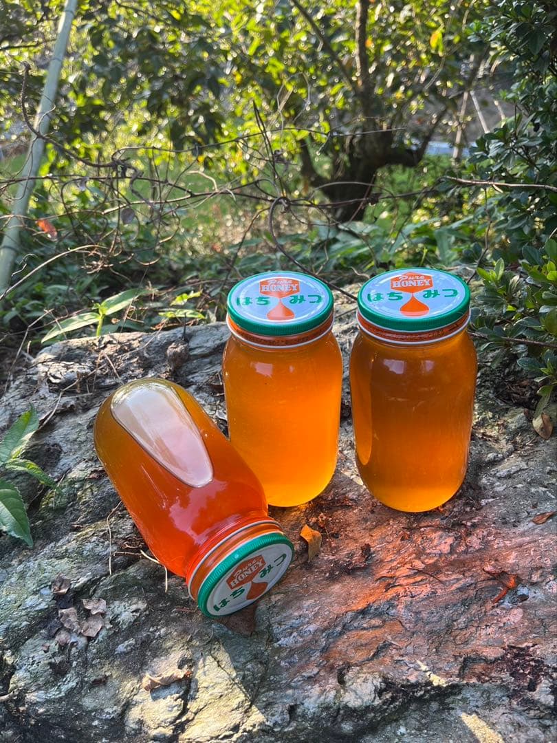 限定20kg/日本蜜蜂ハチミツ/蜂蜜/百花蜜/1kg×2本【最終値下げ】