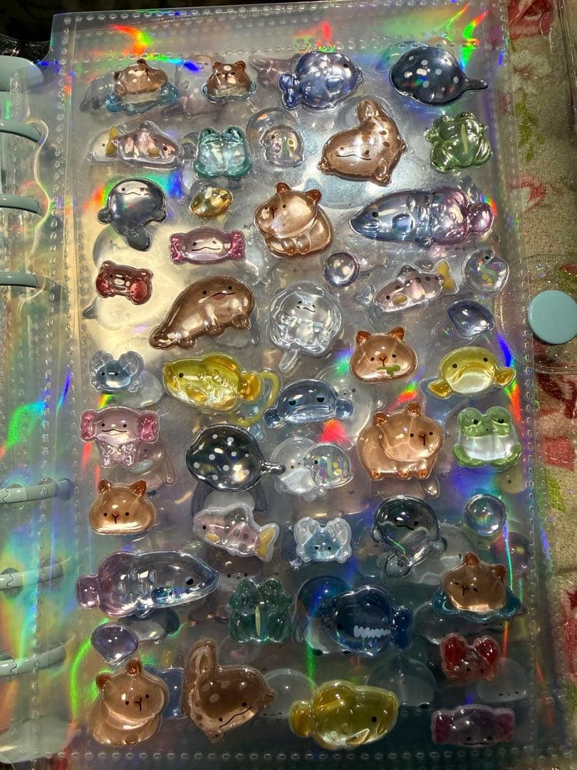 シール帳 水族館限定 A6サイズ ボンボンドロップシール