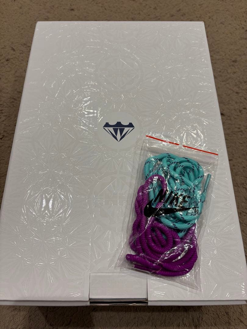 Nike レブロン22EP