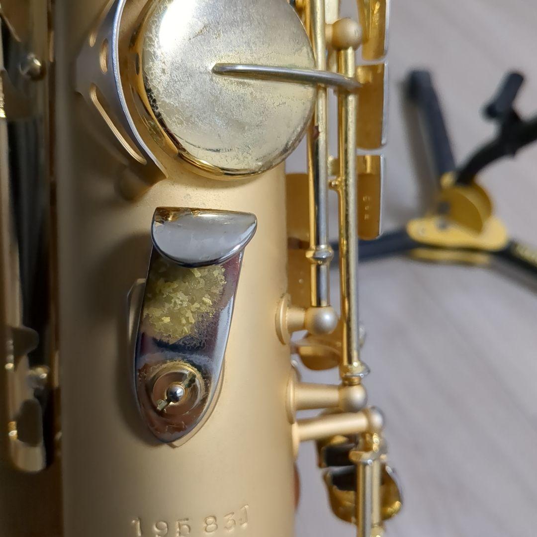 borgani pearl gold ボガーニ　テナーサックス