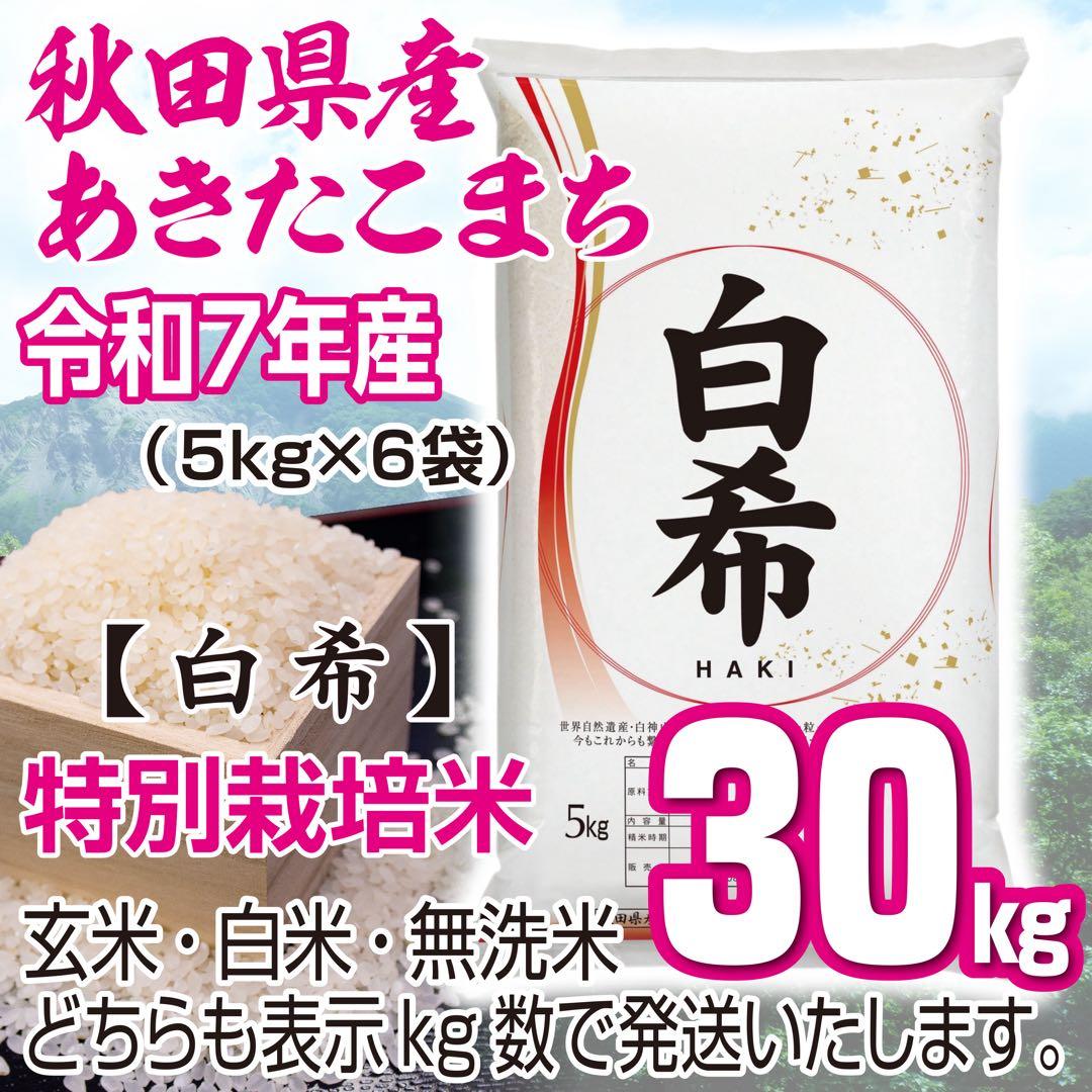 農家直送 秋田県産 令和７年 あきたこまち ３０kg 特別栽培米【白希】秋田小町