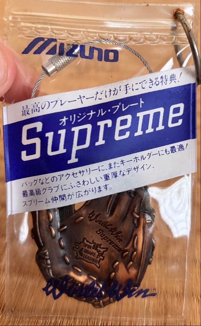 【希少】Mizuno WORLD WIN当時物 ノベルティ グローブ プレート