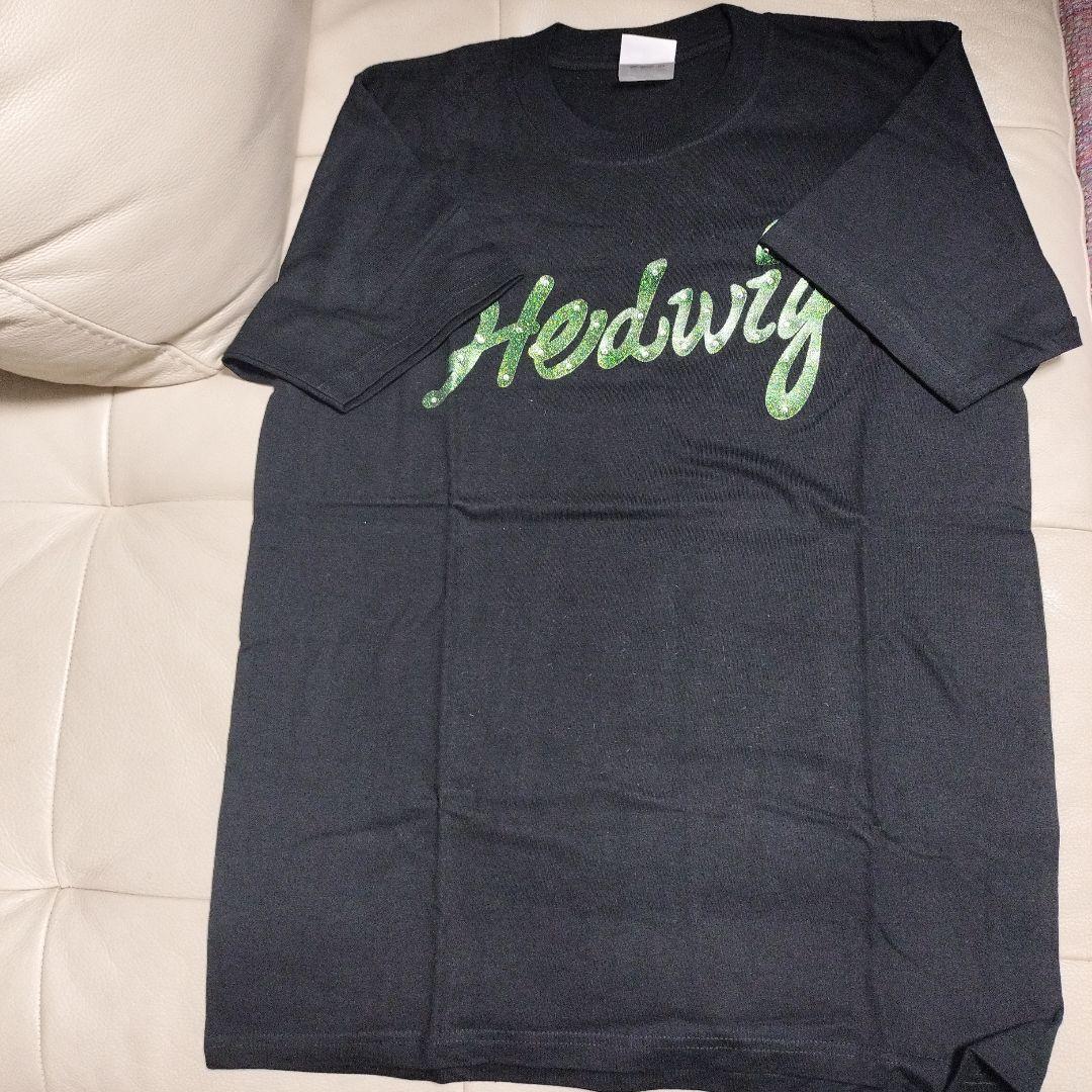 ２００５年　ヘドウィグ　T シャツ　Mサイズ　三上博史