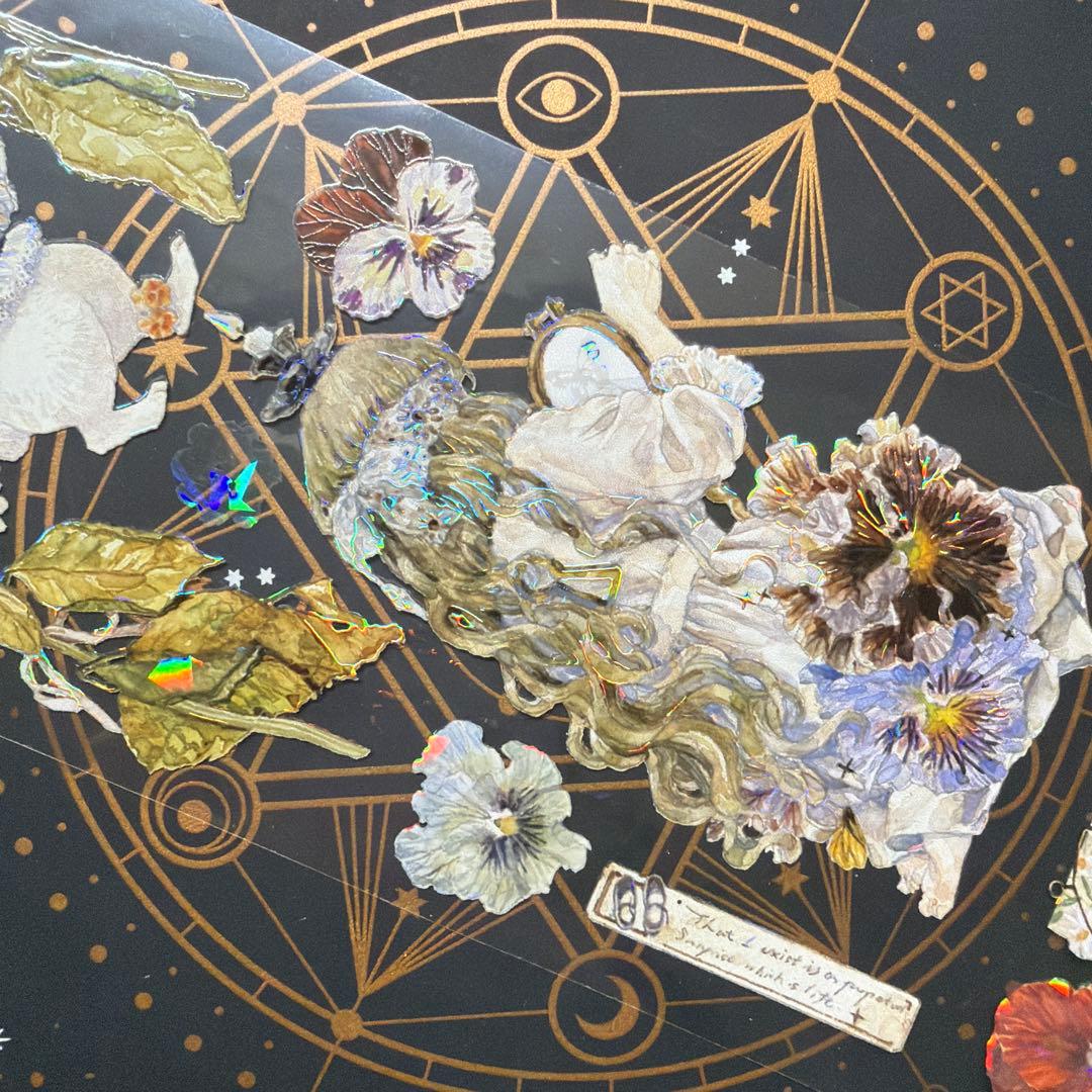 【8957】海外　マステ　中古巻　貝殻光マスキングテープ　残量多め　人物系