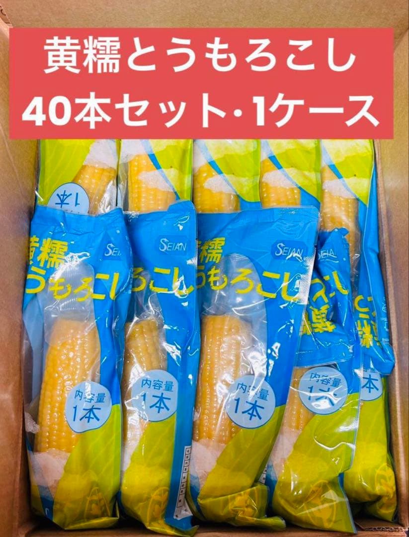 お客　食品48点