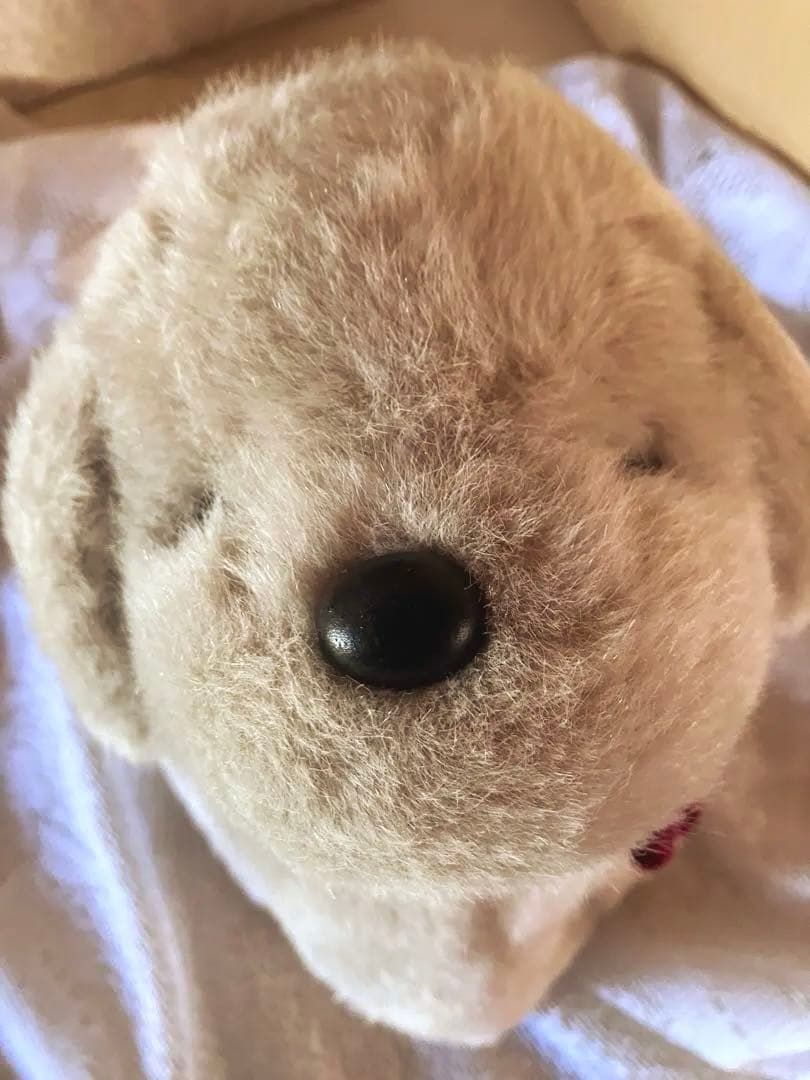 希少うめ吉 ぬいぐるみ レトロ オリエンタルトーイ めちゃくちゃ可愛い⭐︎