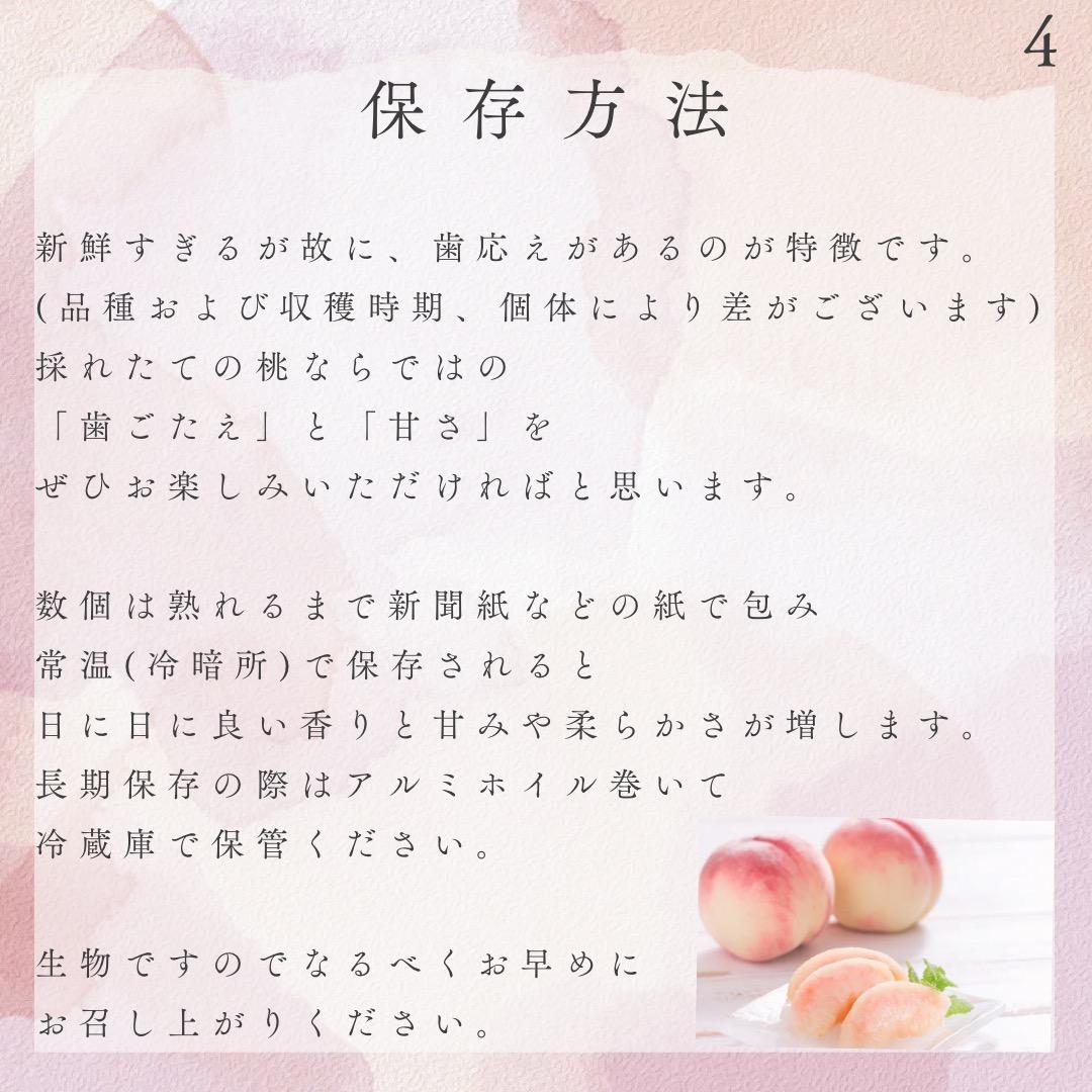 【リピ割】Luna 自宅用【さくら10kg 約24-36個】