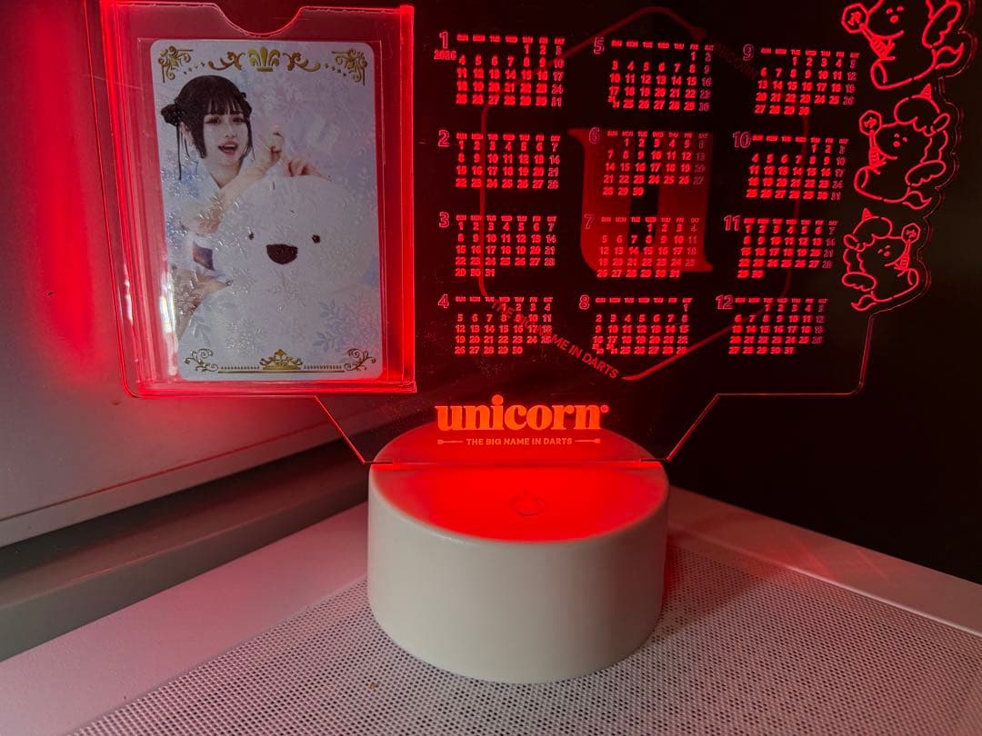 文山雪華選手ダーツライブカード➕クリアカレンダーセット付き！