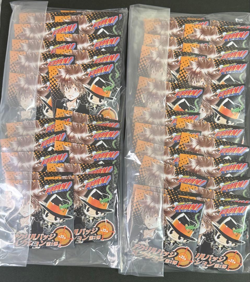 家庭教師ヒットマンREBORN アクリルバッジコレクション 第１弾 未開封44点