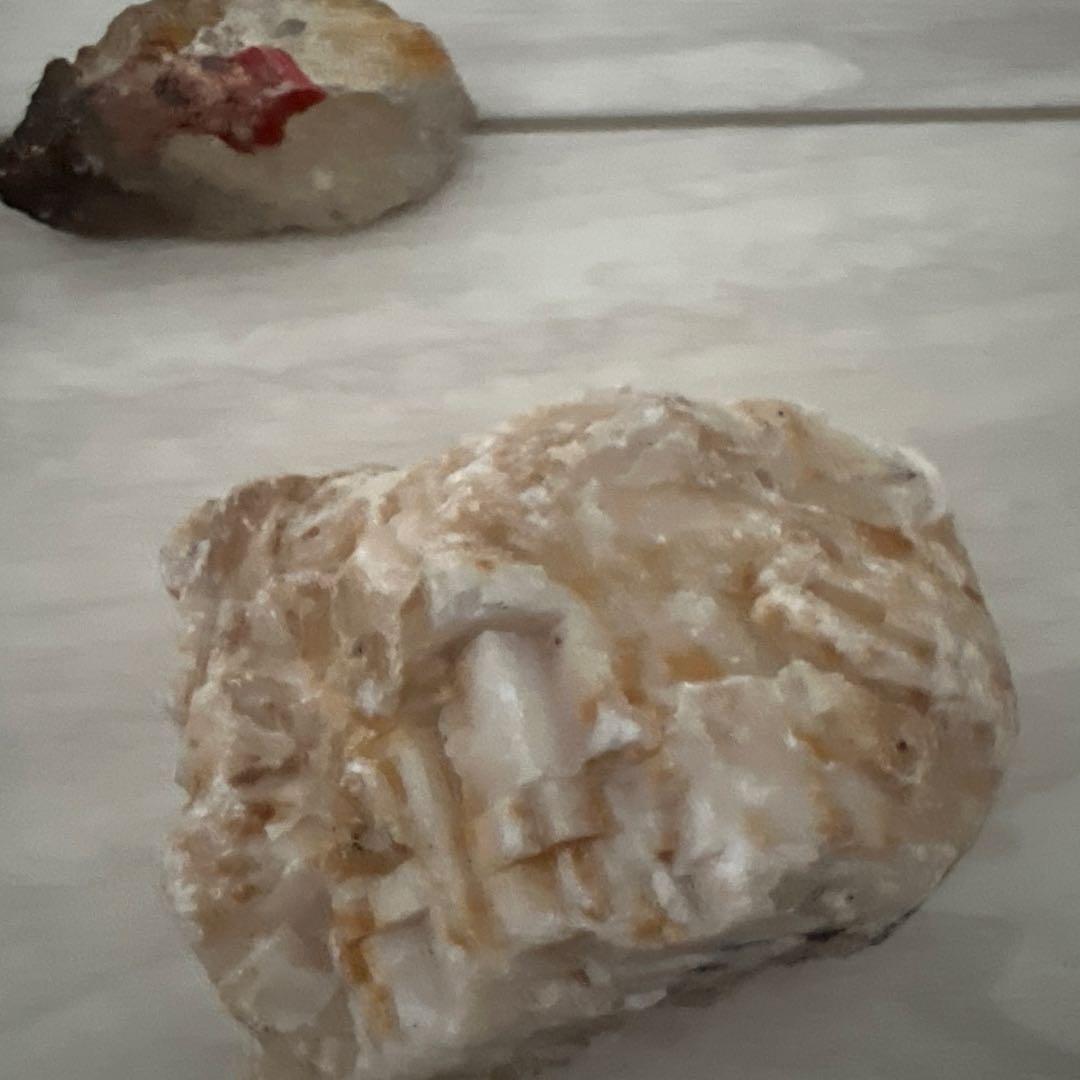 珍しい石&化石 セット アマゾナイトetc